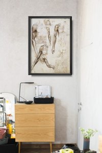 Plakat-Weinlese Die Muskeln der oberen Extremitäten Da Vinci
