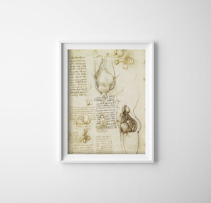 Poster im Retro-Stil Da Vinci Druck Fortpflanzungssystem männlich und weiblich