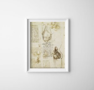 Poster im Retro-Stil Da Vinci Druck Fortpflanzungssystem männlich und weiblich