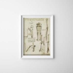 Poster Retro-Wohnzimmer Da Vincis anatomischen Knochen