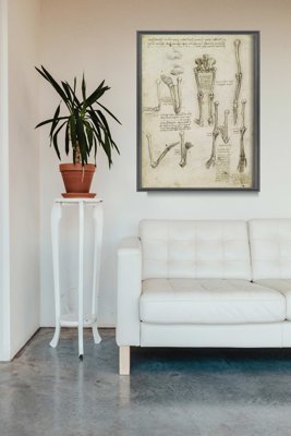 Poster Retro-Wohnzimmer Da Vincis anatomischen Knochen