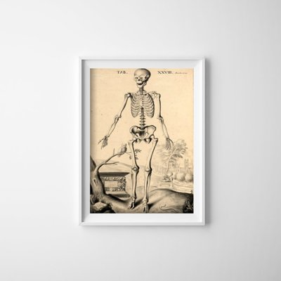 Plakat für den Frieden Skeleton John Fotherby
