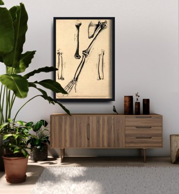 Weinleseplakat Humerus John Fotherby