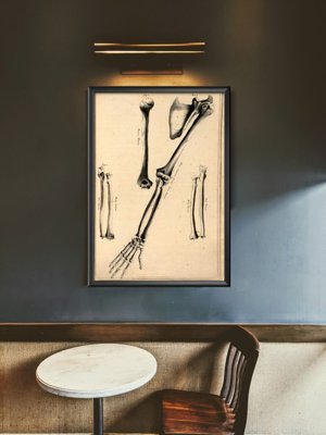 Weinleseplakat Humerus John Fotherby