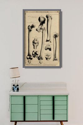 Retro-Poster Human Anatomy John Fotherby