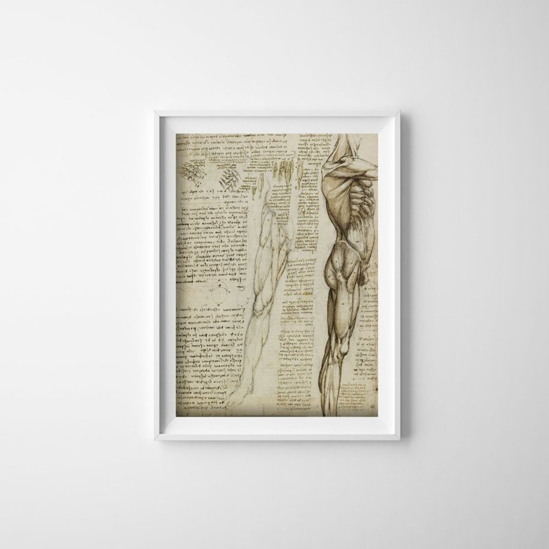 Poster im Retro-Stil Da Vinci Beinmuskeln