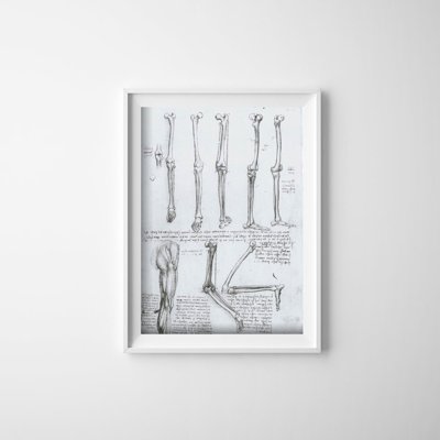 Poster an der Wand Da Vinci Beinknochen