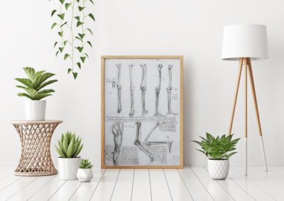 Poster an der Wand Da Vinci Beinknochen