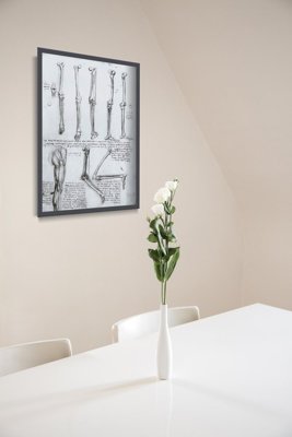 Poster an der Wand Da Vinci Beinknochen