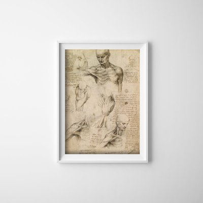 Plakat für den Frieden Da Vinci Muskeln