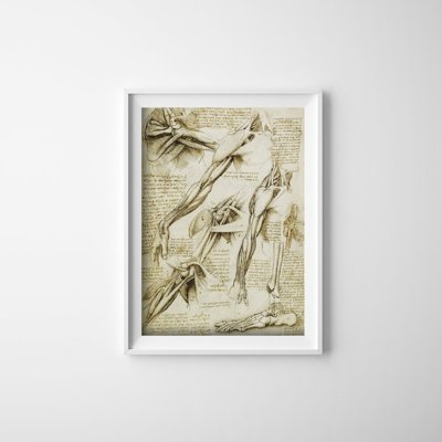 Weinleseplakat Da Vinci Muskeln