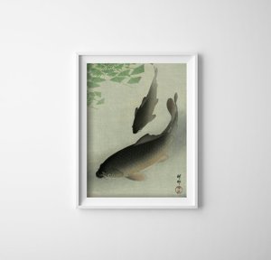 Poster an der Wand Koi-Fische von Koson Oharn