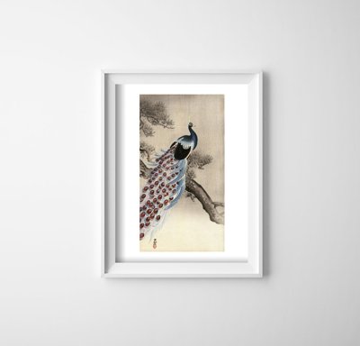 Retro-Poster Peacock auf einem Tannenzweig von Ohary Koson