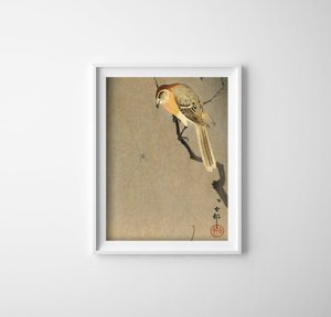 Plakat-Weinlese Vogel und Spinne auf einem Zweig von Ohary Koson