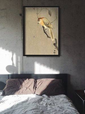 Plakat-Weinlese Vogel und Spinne auf einem Zweig von Ohary Koson