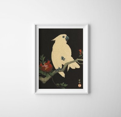Poster im Retro-Stil Parrot von Ohary Koson