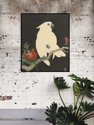 Poster im Retro-Stil Parrot von Ohary Koson