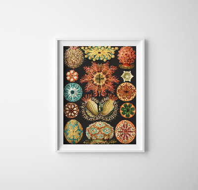 Poster im Retro-Stil Drucken Meerestiere