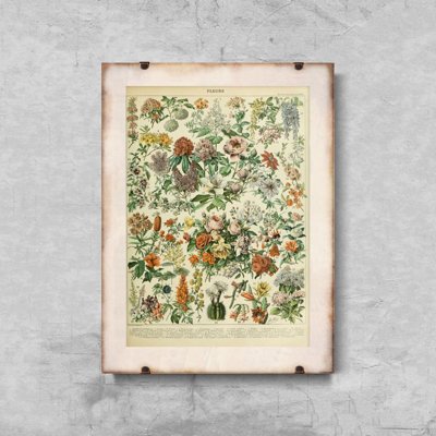 Poster Retro-Wohnzimmer Blumen Adolphe Millot