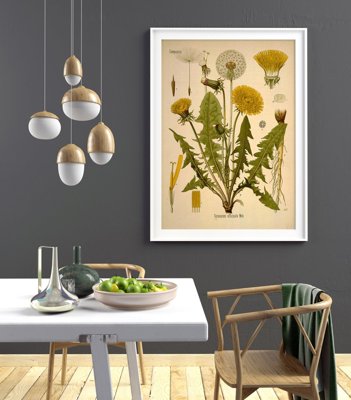 Weinleseposter für das Wohnzimmer Gänsedistel