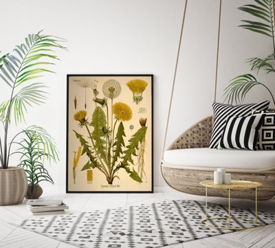 Weinleseposter für das Wohnzimmer Gänsedistel