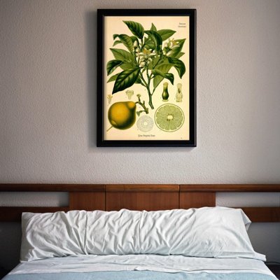 Poster an der Wand Bergamotte