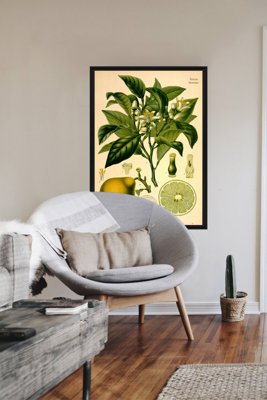 Poster an der Wand Bergamotte