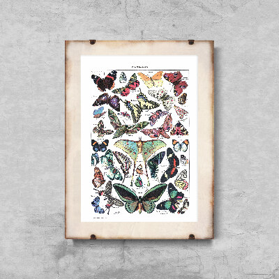 Weinleseposter Adolphe Millot botanische Schmetterling Papillons