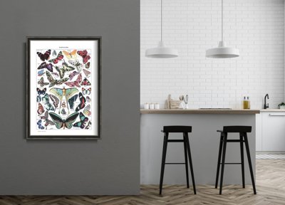 Weinleseposter Adolphe Millot botanische Schmetterling Papillons