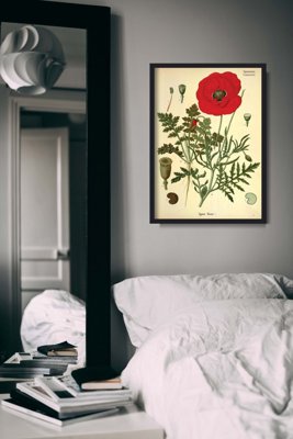 Retro-Poster Botanischer Druck rote Mohn