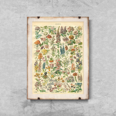 Poster-Weinlese Blumendruck Adolphe Millo