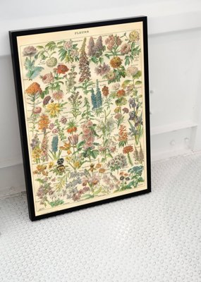 Poster-Weinlese Blumendruck Adolphe Millo
