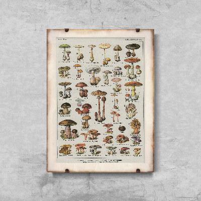 Poster Retro-Wohnzimmer Botanische Pilze Poster Pilze