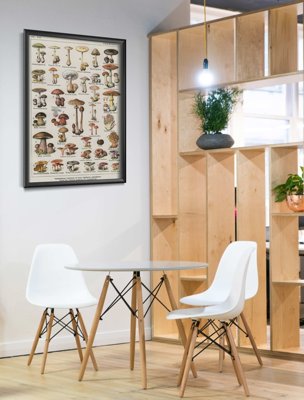 Poster Retro-Wohnzimmer Botanische Pilze Poster Pilze