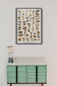 Poster Retro-Wohnzimmer Botanische Pilze Poster Pilze