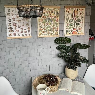 Poster Retro-Wohnzimmer Botanische Pilze Poster Pilze