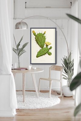 Poster an der Wand Feigenkaktus