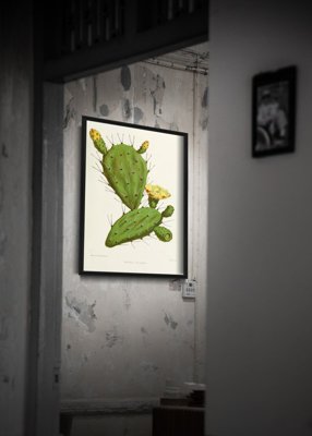 Poster an der Wand Feigenkaktus
