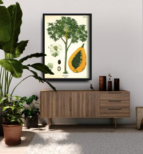 poster für den Frieden Antiker botanischer Druck Papayabaum