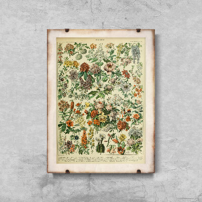 Weinleseposter Blumen Adolphe Millot