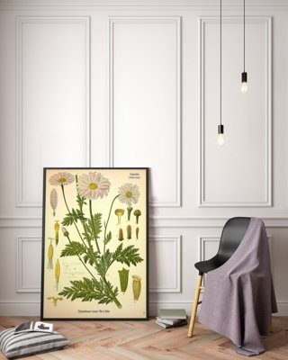 Poster im Retro-Stil Gänseblümchen