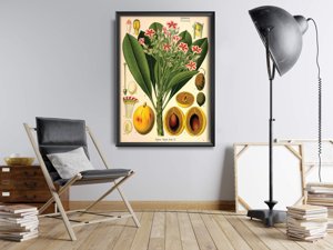 Weinleseposter für das Wohnzimmer Botanischer Druck Apocyaceae