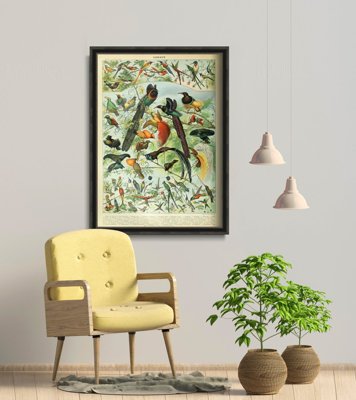Weinleseposter Vögel Adolphe Millot