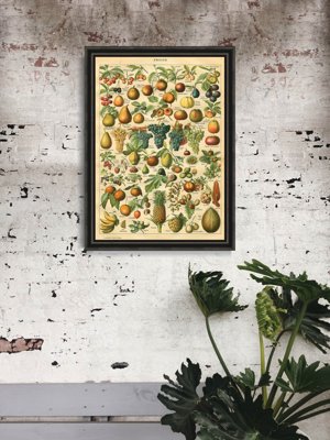 Retro-Poster Früchte Adolphe Millot