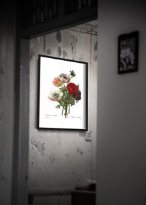 Poster im Retro-Stil Blumendruck anomonu