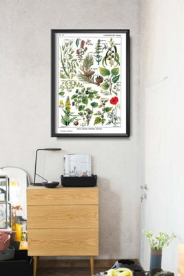 Poster Retro-Wohnzimmer Calmin Pflanzen Wissenschaft 1912