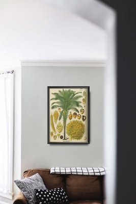 Poster im Retro-Stil Botanischer Plakat mit Kokospalme