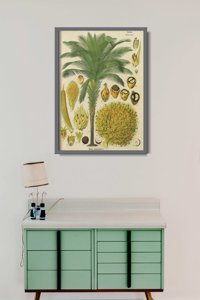 Poster im Retro-Stil Botanischer Plakat mit Kokospalme