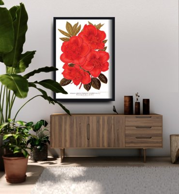 Retro-Poster Blumen-Rhododendron 1957