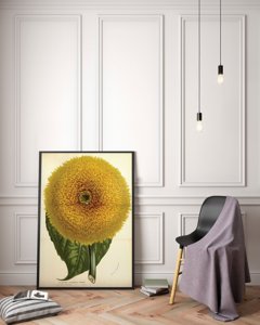 Poster-Weinlese Sunflowers